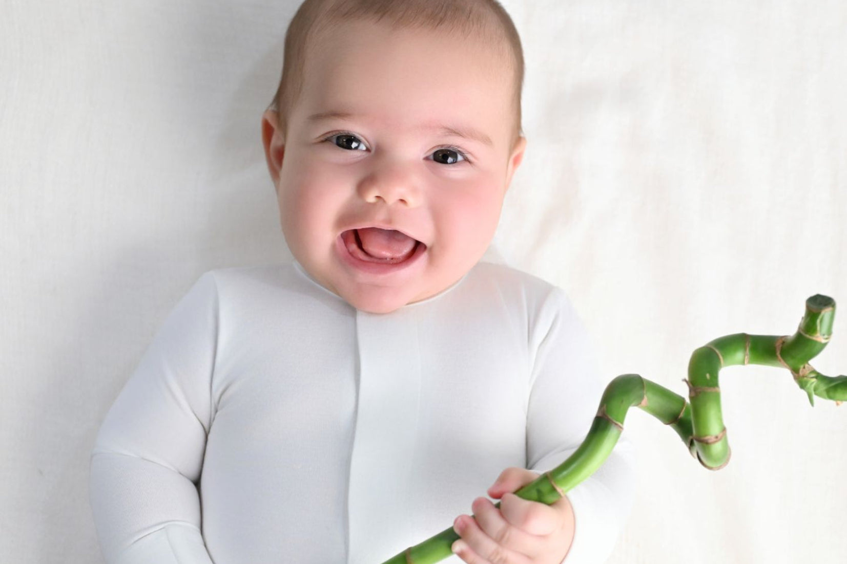 Baby holding a green bamboo plant against a white background